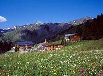 vakantie Oostenrijk Hotel en Appartementen Walisgaden Dam�ls