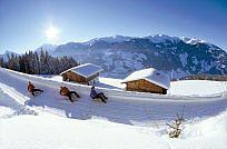 Bild_3
