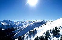 Bild_3