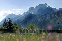 Bild_5