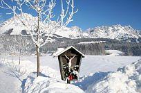 Bild_4