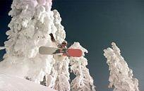 Bild_5