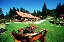 Skivakantie Wintersport Ossiach am See Ausgewählte Bauernhöfe Ossiach Skivakantie Wintersport Ossiach am See Ausgewählte Bauernhöfe Ossiach